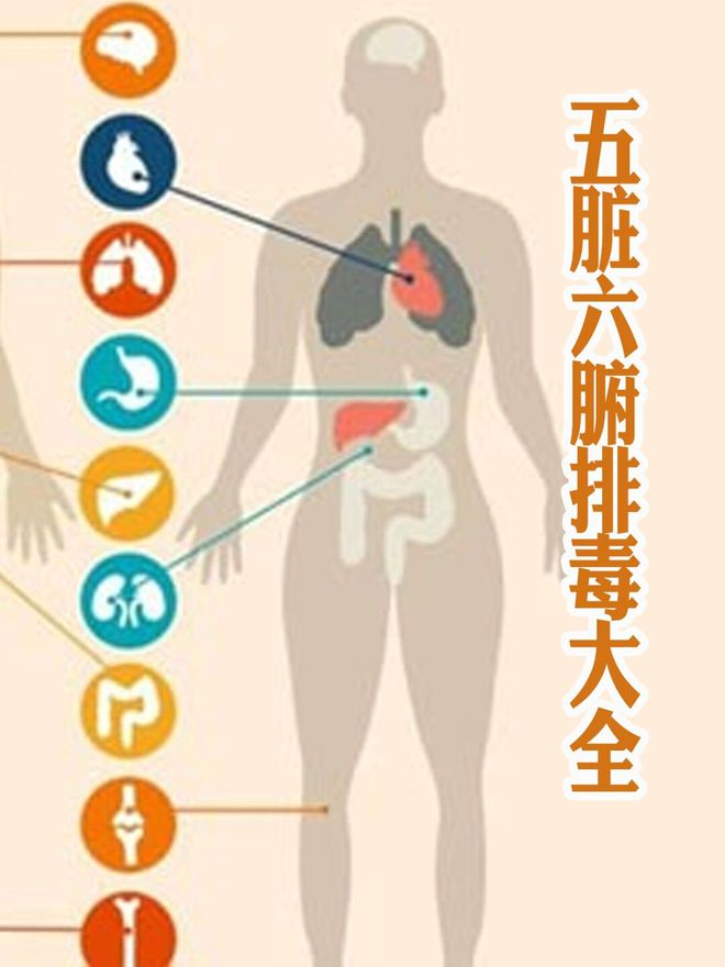 世的林海峰用生命提醒大家没事别瞎搞麻将胡了了不起的养生大师！51岁去(图3)